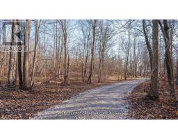 29709 CELTIC LINE S - 11