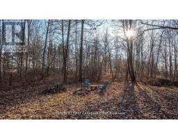 29709 CELTIC LINE S - 13