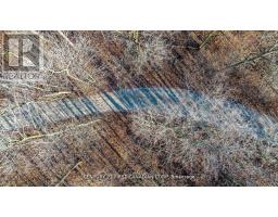 29709 CELTIC LINE S - 15