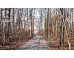 29709 CELTIC LINE S - 16