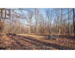 29709 CELTIC LINE S - 17