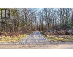 29709 CELTIC LINE S - 3