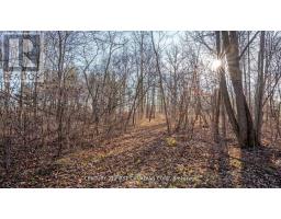 29709 CELTIC LINE S - 4