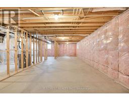 142 SHIRLEY STREET - 38