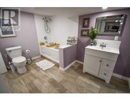 378 CARLOW ROAD - 33