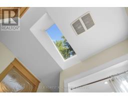 281 CATHCART STREET - 31