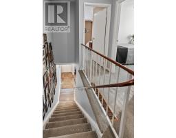 41 ELVIRA CRESCENT - 17