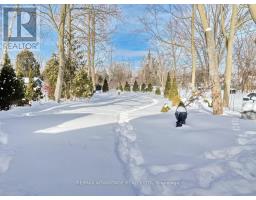 526 CHESTER STREET - 2