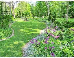 526 CHESTER STREET - 3