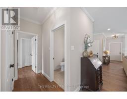 7 - 9 CADEAU TERRACE - 16