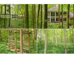 10221 SHORELINE DRIVE - 40