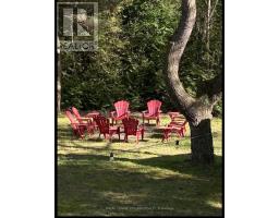 6329 WILLIAM STREET - 29