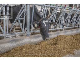 5029 FALCONBRIDGE DRIVE - 10