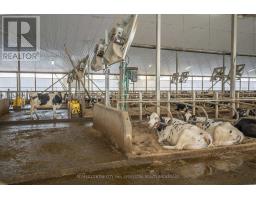 5029 FALCONBRIDGE DRIVE - 11