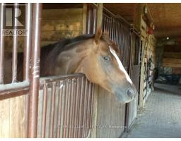 25728 MCMURCHY LINE - 29