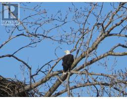 25728 MCMURCHY LINE - 34