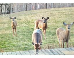 25728 MCMURCHY LINE - 37