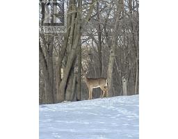 25728 MCMURCHY LINE - 40