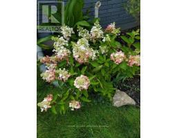 23 STORMONT DRIVE - 34