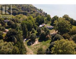 4 - 49075 DEXTER LINE - 19