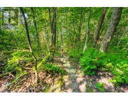 5168 LAKESHORE ROAD - 42