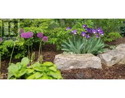 205 - 549 RIDOUT STREET N - 32