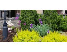 205 - 549 RIDOUT STREET N - 33