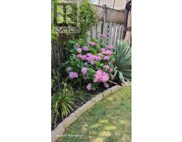 67 - 16 HOMESTEAD CRESCENT - 46