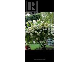 103 TYNEDALE AVENUE - 41