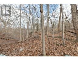 30 ELMWOOD PLACE - 36