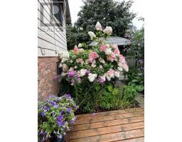 96 ROLLSCOURT PLACE - 37