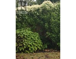 1080 VISCOUNT ROAD - 47