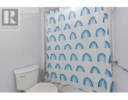 163 MCLEOD STREET - 28