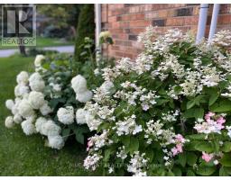 459 BILLYBROOK CRESCENT - 41