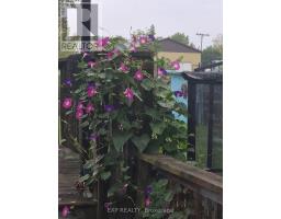 203 MCKELLAR STREET - 25