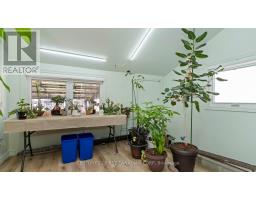 706 NELSON STREET - 17