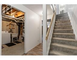 19 - 253 TAYLOR STREET - 17