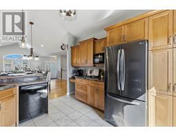 29 HOLLAND AVENUE - 16