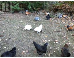 9584 MELROSE DRIVE - 44