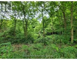 25 UNION STREET - 10