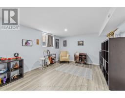 41 AMBROSIA PATH - 18