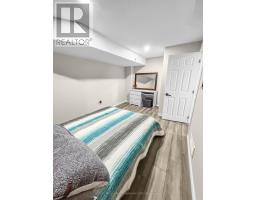 41 AMBROSIA PATH - 25