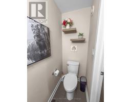 41 AMBROSIA PATH - 7