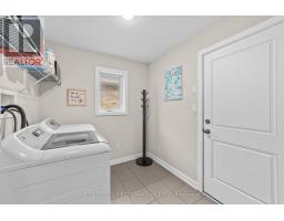 41 AMBROSIA PATH - 8