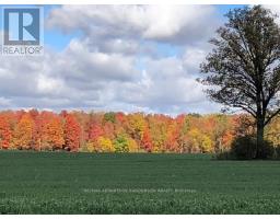 11247 MAPLE ROAD - 45