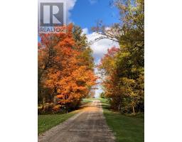 11247 MAPLE ROAD - 46