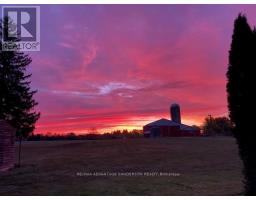 11247 MAPLE ROAD - 47