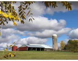 11247 MAPLE ROAD - 49