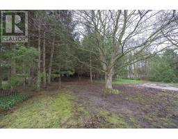 164 MCKEAND STREET - 22