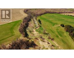 15060 NINE MILE ROAD - 9